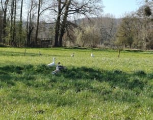 Petite promenade d'Autheuil - Autheuil-Authouillet - 11