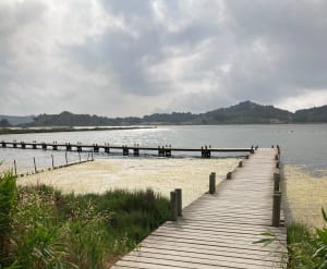 Petite boucle de l'étang du Doull - Peyriac-de-Mer - 4
