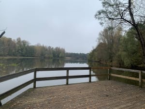 Balade paisible autour du lac du Moulin Blanc - Matthieu - 4