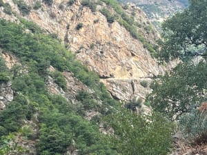 Gorges de la Carança et son paradis discret et sauvage - Thuès-Entre-Valls - 18