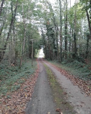 Circuit de Garaube - Cause-de-Clérans - 8