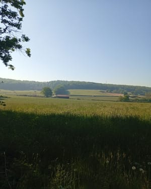 Trésors près de Warluis et lumières chaudes de la forêt - Rochy-Condé - 3