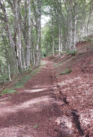 Escapade à la Cascade de Vaucoux - Besse-et-Saint-Anastaise - 19