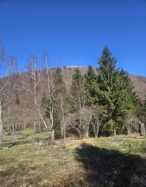 Prachtige tocht over de Puy de Côme. - Saint-Ours - 5