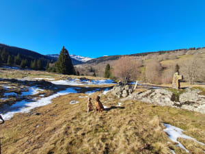 Albepierre et le cirque de Chamalière par les GR® 400 et 465 - Albepierre-Bredons - 8