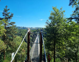Excursie naar de voetgangersbrug van de Lignon-kloven vanuit Saint-Maurice-de-Lignon - Saint-Maurice-de-Lignon - 2