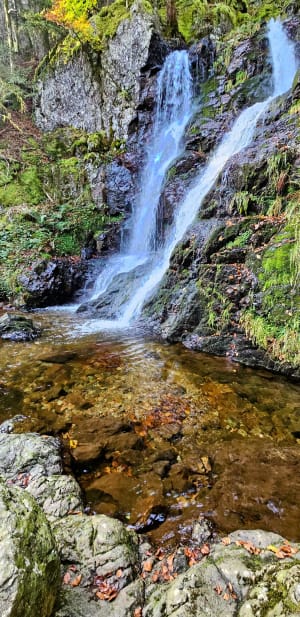 Goutte des Saules-watervalcircuit - Plancher-les-Mines - 19