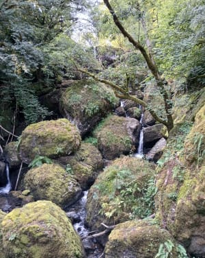 Ontdekkingswandeling van de Salins-waterval - Salins - 43