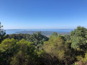Lavandou, Massif et mer - Le Lavandou - 6
