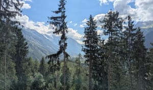 Boucle d'Odalys vers les sources de l'Arveyron - Chamonix-Mont-Blanc - 7