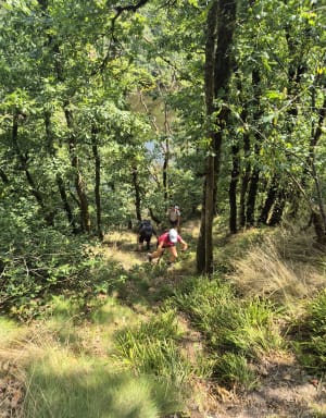 Rando sportive au bord du Taurion - Saint-Priest-Taurion - 2