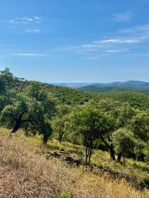 Hyères : Les Deuxième Borrels - Hyères - 6