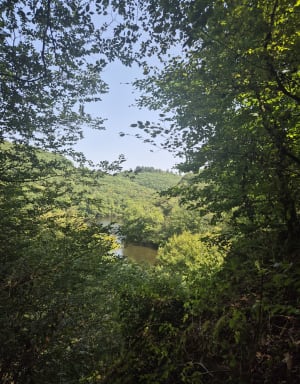 Rando sportive au bord du Taurion - Saint-Priest-Taurion - 5