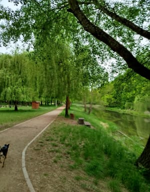 Toruń: Park Miejski, malownicze tereny nad Martówką - Agnieszka - 3