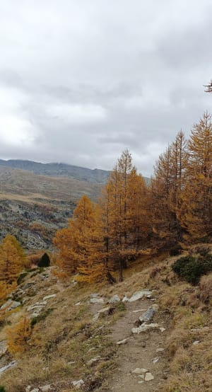 Lac des Béraudes - Névache - 9