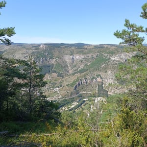 Wandelen door de kloven en pittoreske monolieten - Blajoux - 7