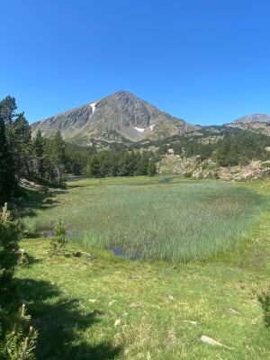 Tocht langs de meren van Camporell en de Pyreneeën vanuit Formiguères - Formiguères - 5