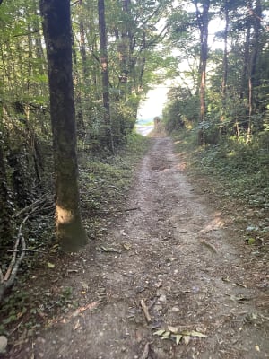 Balade autour de l'Étang de Rosière - Bourgoin-Jallieu - 5