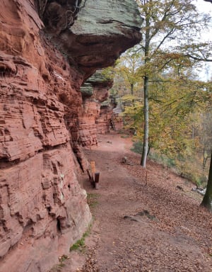 Rocher de Ropperviller et randonnée entre deux pays - Roppeviller - 9