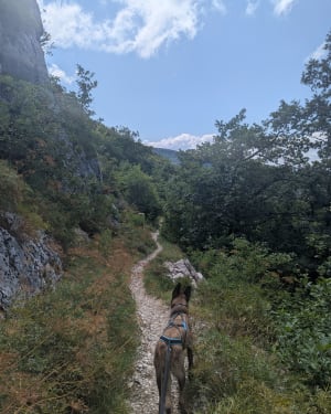 A la découverte de la carrière de Cerin dans l'Ain - Marchamp - 7