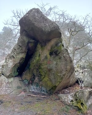 La roche Clotilde - Moret-Loing-et-Orvanne - 5