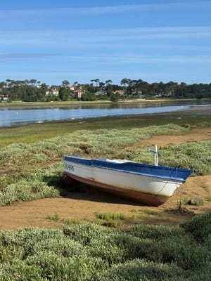 Het meer van Hossegor, verbonden met de zee door een navelstrengkanaal - Soorts-Hossegor - 10