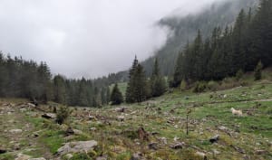 Aiguebelle Toevluchtsoord en onderdompeling in Belledonne - Les Adrets - 6