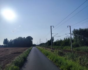 Sentier du Marais à Nortkerque - Nortkerque - 5
