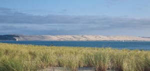 Le petit tour du Cap Ferret - Lège-Cap-Ferret - 12