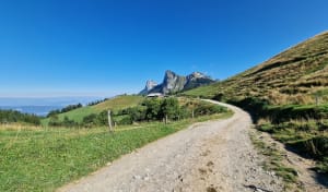 Col de la Forclaz, Rocher du Roux en luchtfoto van het meer van Annecy - MICHELLE - 4