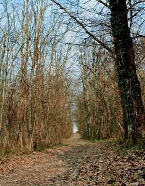 Découverte de la forêt d’Agre de Montech - Tanaka - 2