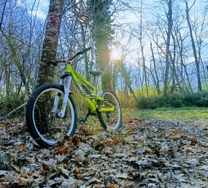 Découverte de la forêt d’Agre de Montech - Tanaka - 3