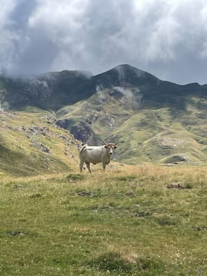 Wandeling naar de Arlet-berghut - Borce - 8