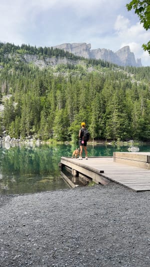 Bain de forêt jusqu'au Lac Vert entre Servoz et Passy - Servoz - 2