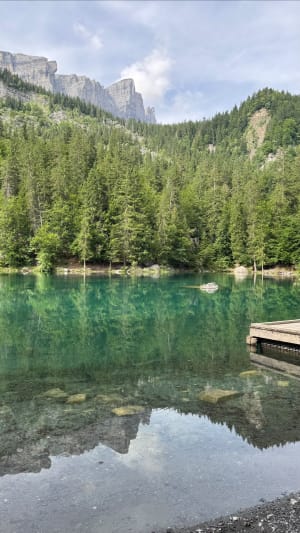 Bain de forêt jusqu'au Lac Vert entre Servoz et Passy - Servoz - 3