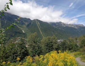 Boucle forestière à la Cascade du Dard - Chamonix-Mont-Blanc - 10