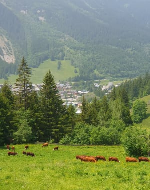 Cirque de l'Arcelin - Pralognan la Vanoise - 14