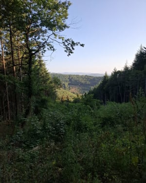 Chapelle de Saint-Bonnet depuis Montmelas-Saint-Sorlin - Montmelas-Saint-Sorlin - 5