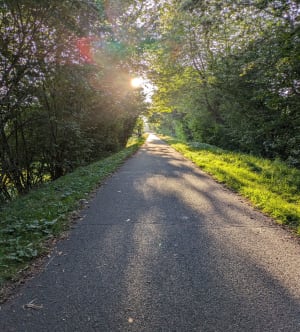 Parcours 4 - Patrimoine et Nature à Sondreville - Ban-sur-Meurthe-Clefcy - 11