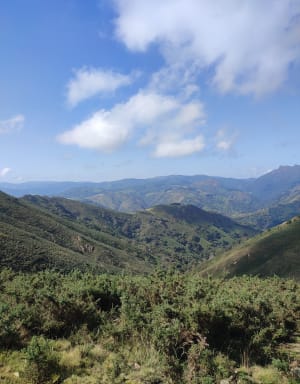 Boucle du col d'Ibardin par le GR 10 - Urrugne - 7