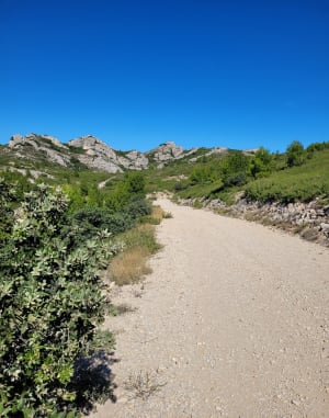 De Trincades en de Blauwe Lagune van Maussane-les-Alpilles - Maussane-les-Alpilles - 76