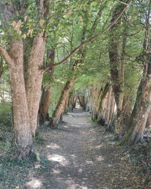 L’angle sur Anglin - Angles-sur-l'Anglin - 11