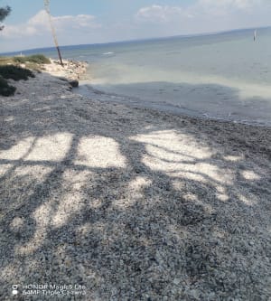 Déconnexion totale autour du parc de Figuerolles - Martigues - 9