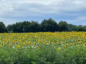 Sortie à Rochegude par la Grotte des Camisards et le bord de La Céze - Rochegude - 4