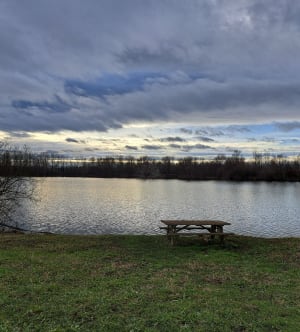 Petit tour au bord de Loire depuis Rivas - Rivas - 6