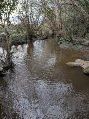 Vigneux-de-Bretagne et agréable sortie en campagne - Vigneux-de-Bretagne - 2