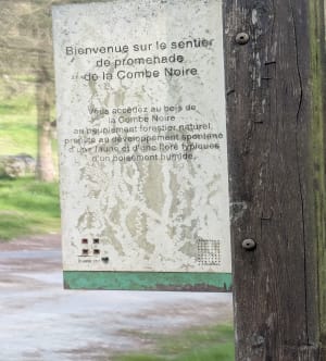 Combe verte et Parc du Talweg - Chambery le Haut - 3