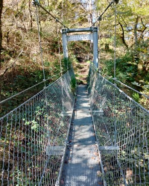 Des gorges de l'auvezere aux forges de Savignac Lédrier - Saint-Mesmin - 48
