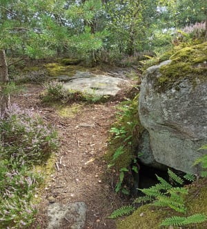Autour de Milly-la-Forêt, terres de Jean Cocteau - Milly-la-Forêt - 5