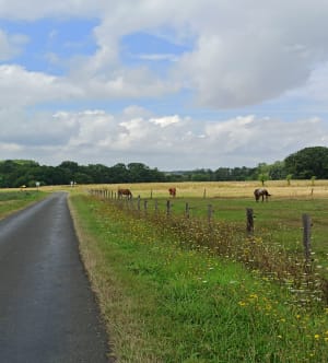 Autour de Milly-la-Forêt, terres de Jean Cocteau - Milly-la-Forêt - 6